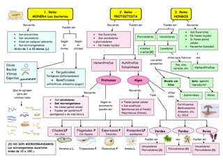 Son procariotas
Son unicelulares
Viven en cualquier ambiente
Son microorganismos:
-Miden de 1 a 10 micras ( )
Son Eucariotas
Son unicelulares
o pluricelulares
No tienen tejidos
Autótrofos:
fotosíntesis
Heterótrofos
AlgasProtozoos
Son unicelulares
Son microorganismos
No tienen pared celular
Pueden ser parásitos P
(patógenos) o de vida libre L
Tienen pared celular
Son acuáticos:
Bentónicas (en el fondo)
Planctónicas (flotan)
Fertilizantes
Medicamentos
Alimento, etc.
Ej. OCLE
Unicelulares
Pluricelulares (X)
Pluricelulares (X)
Son Eucariotas
No tienen tejidos
Si tienen pared
celular
Necesitan humedad
Heterótrofos
Pluricelulares
s
Unicelulares
mohos
setas (X)
Levaduras
Micelio con
hifas
Seta: aparato
reproductor
Subterráneo Aéreo
Que se agrupan
para dar
colonias como
Paramecio L Tripanosoma P Plasmodium P Ameba L
Esporozoos P
Inmóviles
(X) NO SON MICROORGANISMOS
Los microorganismos eucariotas
miden de 10 a 100
Verdes
1. Reino
MONERA:Las bacterias
2. Reino
PROTOCTISTA
3. Reino
HONGOS
Recuerda
Según
su
utilidad
Pueden ser
Cocos
Bacilos
Vibrios
Espirilos
Perjudiciales:
Patógenos (enfermedades)
Beneficiosos:
antibióticos, alimentos (yogur)
Según
su
forma
Recuerda Pueden ser
Recuerda
Ciliados:LP
Con cilios
Recuerda
Según su
movimiento
pueden ser
Tipos
útiles
como
Pueden ser Pueden ser
Recuerda
son
Pueden ser
útiles para fabricar
Pan, vino,
cerveza, etc.
Las setas
presentan
una parte
son
RojasPardas
Unicelulares
Pluricelulares (X)
Rizopodos:LP
psedópodos
Flagelados: P
Con flagelos
 