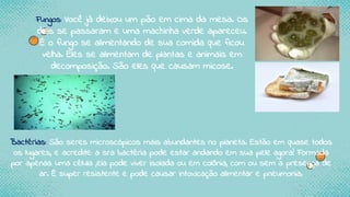 Fungos: Você já deixou um pão em cima da mesa. Os
dias se passaram e uma machinha verde apareceu.
É o fungo se alimentando de sua comida que ficou
velha. Eles se alimentam de plantas e animais em
decomposição. São eles que causam micose.
Bactérias: São seres microscópicos mais abundantes no planeta. Estão em quase todos
os lugares, e acredite: a sra bactéria pode estar andando em sua pele agora! Formada
por apenas uma célula ,ela pode viver isolada ou em colônia, com ou sem a presença de
ar. É super resistente e pode causar intoxicação alimentar e pneumonia.
 