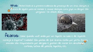 Vírus: Atchim! Está aí a primeira evidencia da presença de um vírus .Sempre à
procura de alguém para se instalar e causar doenças como gripe ou dengue São
perigosos ! Se afaste deles.
Ácaros: Sabe quando você anda por um tapete na sala e de repente
começa a espirrar? Cuidado! São pistas de que ácaros estão por perto. Esses
animais são responsáveis por alergias e gostam de morar em almofadas,
cortinas, bichos de pelúcia, tapetes, etc.
 