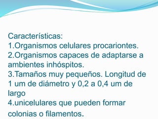 Características:
1.Organismos celulares procariontes.
2.Organismos capaces de adaptarse a
ambientes inhóspitos.
3.Tamaños muy pequeños. Longitud de
1 um de diámetro y 0,2 a 0,4 um de
largo
4.unicelulares que pueden formar
colonias o filamentos.
 