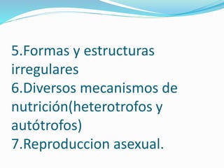 5.Formas y estructuras
irregulares
6.Diversos mecanismos de
nutrición(heterotrofos y
autótrofos)
7.Reproduccion asexual.
 