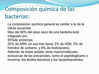 Composición química de las
bacterias:
La composición química general es similar a la de la
célula eucariota.
Mas del 90% del peso seco de una bacteria está
integrado por:
55%de proteínas.
20% de ARN, en sus tres tipos( 3% de ADN, 5% de
hidratos de carbono, y 6% de fosfolípidos).
Además de éstas existen otras macromoléculas
exclusivas de las procariotas, como el peptidoglicano o
mureína, los ácidos teicoicos y los lipopolisacáridos.
 