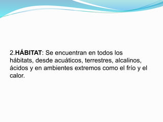 2.HÁBITAT: Se encuentran en todos los
hábitats, desde acuáticos, terrestres, alcalinos,
ácidos y en ambientes extremos como el frío y el
calor.
 