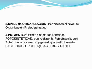 3.NIVEL de ORGANIZACIÓN: Pertenecen al Nivel de
Organización Protoplasmático.
4.PIGMENTOS: Existen bacterias llamadas
FOTOSINTÉTICAS, que realizan la Fotosíntesis, son
Autótrofas y poseen un pigmento para ello llamado
BACTERIOCLOROFILA y BACTERIOVIRIDINA.
 