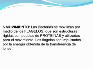 5.MOVIMIENTO: Las Bacterias se movilizan por
medio de los FLAGELOS, que son estructuras
rígidas compuestas de PROTEÍNAS y utilizadas
para el movimiento. Los flagelos son impulsados
por la energía obtenida de la transferencia de
iones.
 