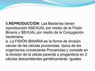 6.REPRODUCCIÓN: Las Bacterias tienen
reproducción ASEXUAL por medio de la Fisión
Binaria y SEXUAL por medio de la Conjugación
bacteriana.
a. La FISIÓN BINARIA es la forma de división
celular de las células procariotas. típica de los
organismos unicelulares Procariotas y consiste en
la división de la célula parental o progenitora en 2
células descendientes genéticamente iguales
 