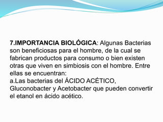 7.IMPORTANCIA BIOLÓGICA: Algunas Bacterias
son beneficiosas para el hombre, de la cual se
fabrican productos para consumo o bien existen
otras que viven en simbiosis con el hombre. Entre
ellas se encuentran:
a.Las bacterias del ÁCIDO ACÉTICO,
Gluconobacter y Acetobacter que pueden convertir
el etanol en ácido acético.
 