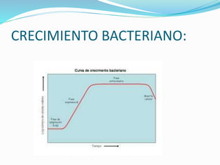 CRECIMIENTO BACTERIANO:
 