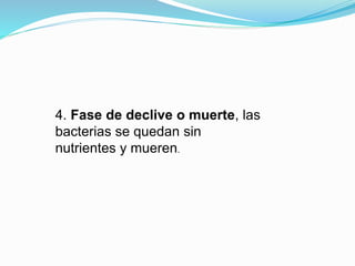 4. Fase de declive o muerte, las
bacterias se quedan sin
nutrientes y mueren.
 