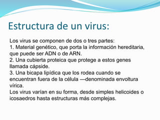 Estructura de un virus:
Los virus se componen de dos o tres partes:
1. Material genético, que porta la información hereditaria,
que puede ser ADN o de ARN.
2. Una cubierta proteica que protege a estos genes
llamada cápside.
3. Una bicapa lipídica que los rodea cuando se
encuentran fuera de la célula —denominada envoltura
vírica.
Los virus varían en su forma, desde simples helicoides o
icosaedros hasta estructuras más complejas.
 