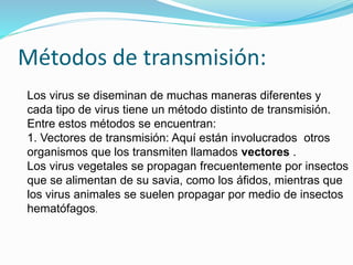 Métodos de transmisión:
Los virus se diseminan de muchas maneras diferentes y
cada tipo de virus tiene un método distinto de transmisión.
Entre estos métodos se encuentran:
1. Vectores de transmisión: Aquí están involucrados otros
organismos que los transmiten llamados vectores .
Los virus vegetales se propagan frecuentemente por insectos
que se alimentan de su savia, como los áfidos, mientras que
los virus animales se suelen propagar por medio de insectos
hematófagos.
 