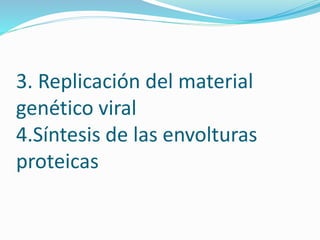 3. Replicación del material
genético viral
4.Síntesis de las envolturas
proteicas
 