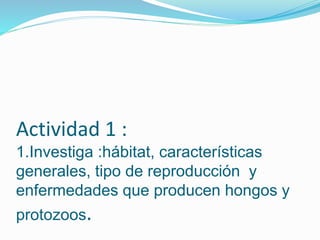 Actividad 1 :
1.Investiga :hábitat, características
generales, tipo de reproducción y
enfermedades que producen hongos y
protozoos.
 