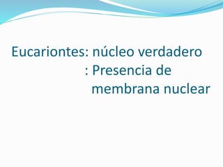 Eucariontes: núcleo verdadero
: Presencia de
membrana nuclear
 