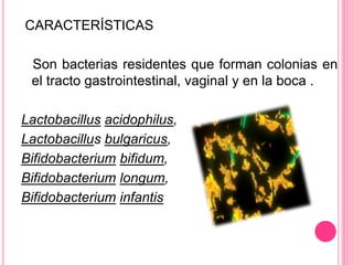 CARACTERÍSTICAS
Son bacterias residentes que forman colonias en
el tracto gastrointestinal, vaginal y en la boca .
Lactobacillus acidophilus,
Lactobacillus bulgaricus,
Bifidobacterium bifidum,
Bifidobacterium longum,
Bifidobacterium infantis
 