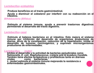 Lactobacillus acidophilus
Produce beneficios en el tracto gastrointestinal.
Ayuda a disminuir el colesterol por interferir con su reabsorción en el
intestino.
Bifidobacteria (Bifidus)
Estimula al sistema inmune, ayuda a prevenir trastornos digestivos
permitiendo el desarrollo del tracto digestivo.
Lactobacillus casei
Estimula el balance bacteriano en el intestino. Esto mejora el sistema
inmune por inhibición del desarrollo de organismos productores de
diarrea, alivio de la constipación, reducción de la hipertensión, inhibe el
desarrollo de tumores carcinogénico, y suprimen microorganismos
productores de enfermedades.
Lactobacillus reuteri
Inhibie el desarrollo y la actividad de bacterias perjudiciales como
Salmonella, E. coli, Staphylococcus, Listeria and la levadura Candida.
También tiene efectos terapéuticos y profilácticos tanto en diarreas
virales como bacterianas.
L. reuteri estimula el sistema inmune mejorando la resistencia a
enfermedades gastrointestinales.
 