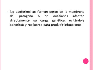 • las bacteriocinas forman poros en la membrana
del patógeno o en ocasiones afectan
directamente su carga genética, evitándole
adherirse y replicarse para producir infecciones.
 