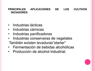 PRINCIPALES APLICACIONES DE LOS CULTIVOS
INCIADORES
• Industrias lácticas
• Industrias cárnicas
• Industrias panificadoras
• Industrias conserveras de vegetales
También existen levaduras”starter”
• Fermentación de bebidas alcohólicas
• Producción de alcohol industrial.
 