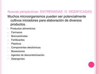 Nuevas perspectivas ENTRENADAS O MODIFICADAS
Muchos microorganismos pueden ser potencialmente
cultivos iniciadores para elaboración de diversos
productos.
• Productos alimenticios
• Farmacos
• Bioinsecticidas
• Fertilizantes
• Plasticos
• Componentes electrónicos
• Biosensores
• Agentes de descontaminación.
• Detergentes
 