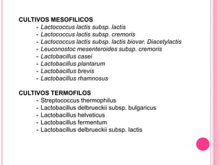 CULTIVOS MESOFILICOS
- Lactococcus lactis subsp. lactis
- Lactococcus lactis subsp. cremoris
- Lactococcus lactis subsp. lactis biovar. Diacetylactis
- Leuconostoc mesenteroides subsp. cremoris
- Lactobacillus casei
- Lactobacillus plantarum
- Lactobacillus brevis
- Lactobacillus rhamnosus
CULTIVOS TERMOFILOS
- Streptococcus thermophilus
- Lactobacillus delbrueckii subsp. bulgaricus
- Lactobacillus helveticus
- Lactobacillus fermentum
- Lactobacillus delbrueckii subsp. lactis
 