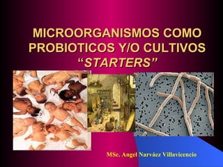 MICROORGANISMOS COMO PROBIOTICOS Y/O CULTIVOS “ STARTERS” MSc. Angel Narváez Villavicencio 