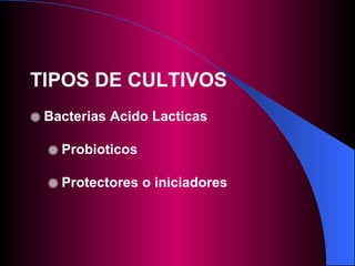 TIPOS DE CULTIVOS Bacterias Acido Lacticas Probioticos Protectores o iniciadores 