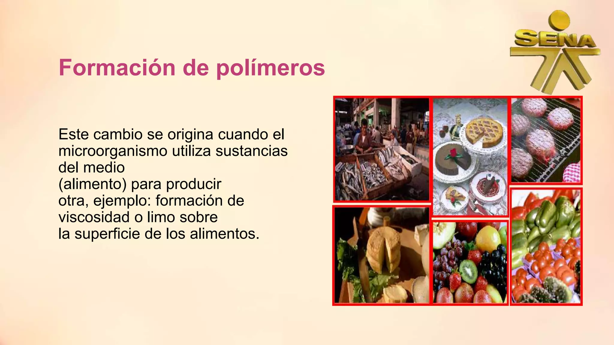 Microorganismos alterantes de los alimentos | PPTX