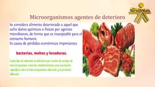 Microorganismos alterantes de los alimentos | PPTX