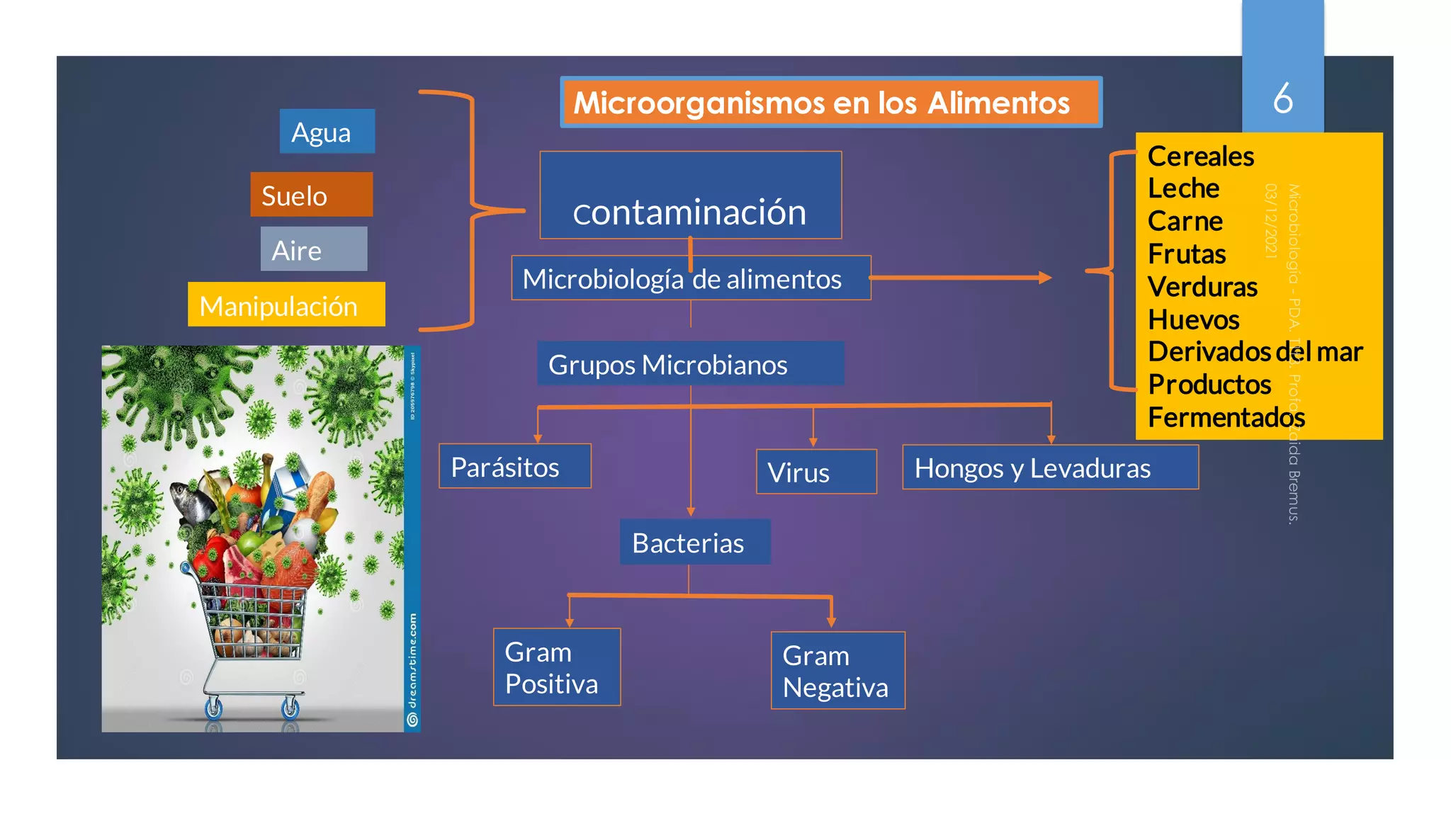 Microorganismos de la industria alimentaria | PDF