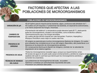 POBLACIONES DE MICROORGANISMOS
VARIACIÓN DE pH
•El pH óptimo para la mayoría de las bacterias, algas y protozoos está alrededor de 7.
•En suelos con pH mayores a 7 predominan las bacterias, en especial los actinomicetos,
y en menor proporción los hongos. micorrizas.
CAMBIOS DE
TEMPERATURA
•Fermentación del estiércol: La temperatura puede elevarse hasta 65 ºC, destruyendo
todos los microorganismos, excepto a los termófilos, como el Bacillus calfactor,
Thermoactinomyces spp y los hongos termófilos.
•En suelos del piso térmico tropical son más frecuentes: Fusarium, Aspergillus y
Rhizopus Penicillium crece mejor en suelos más fríos.
PRESENCIA DE
OXÍGENO
•El oxígeno es esencial para muchos microorganismos fijadores de nitrógeno. En suelos
poco aireados hay competencia por el uso del oxígeno disponible y ello puede llevar a un
descenso en la proporción de microorganismos aerobios.
•En consecuencia disminuye la fijación de nitrógeno y también de la velocidad de
degradación de la materia orgánica.
PRESENCIA DE AGUA
•Todos los microorganismos necesitan agua, aunque sus requerimientos varían.
•El exceso de agua en el suelo suele causar encharcamiento y pérdida de oxígeno en los
capilares del suelo lo cual hace que disminuyan los microorganismos aerobios y
aumenten los anaerobios.
TÉCNICAS DE MANEJO
DEL SUELO
Las poblaciones de microorganismos del suelo, se pueden:
•Disminuir o erradicar por perturbaciones importantes del suelo.
•Favorecer con prácticas adecuadas.
 