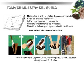 Delimitación del área de muestreo
Materiales a utilizar: Palas, Barrenos (o caladores),
Bolsa de plástico Resistente,
balde o contenedor impermeable,
Rotular perfectamente las muestras.
No utilizar bolsas que hayan contenido fertilizante.
Nunca muestrear luego de una lluvia o riego abundante. Esperar
siempre entre 2 y 3 días.
 