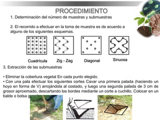 1. Determinación del número de muestras y submuestras
2. El recorrido a efectuar en la toma de muestra es de acuerdo a
alguno de los siguientes esquemas.
Cuadrícula Zig - Zag SinuosaDiagonal
3. Extracción de las submuestras
• Eliminar la cobertura vegetal En cada punto elegido.
• Con una pala efectuar los siguientes cortes Cavar una primera palada (haciendo un
hoyo en forma de V) arrojándola al costado, y luego una segunda palada de 3 cm de
grosor aproximado, descartando los bordes mediante un corte a cuchillo. Colocar en un
balde o bolsa grande.
 