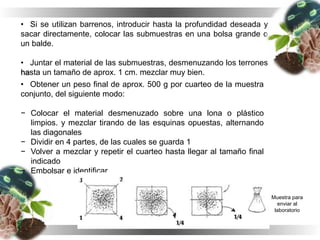 • Si se utilizan barrenos, introducir hasta la profundidad deseada y
sacar directamente, colocar las submuestras en una bolsa grande o
un balde.
• Juntar el material de las submuestras, desmenuzando los terrones
hasta un tamaño de aprox. 1 cm. mezclar muy bien.
• Obtener un peso final de aprox. 500 g por cuarteo de la muestra
conjunto, del siguiente modo:
− Colocar el material desmenuzado sobre una lona o plástico
limpios. y mezclar tirando de las esquinas opuestas, alternando
las diagonales
− Dividir en 4 partes, de las cuales se guarda 1
− Volver a mezclar y repetir el cuarteo hasta llegar al tamaño final
indicado
− Embolsar e identificar.
Muestra para
enviar al
laboratorio
 
