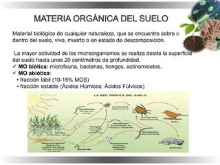 Material biológico de cualquier naturaleza, que se encuentre sobre o
dentro del suelo, vivo, muerto o en estado de descomposición.
La mayor actividad de los microorganismos se realiza desde la superficie
del suelo hasta unos 20 centímetros de profundidad.
 MO biótica: microfauna, bacterias, hongos, actinomicetos.
 MO abiótica:
• fracción lábil (10-15% MOS)
• fracción estable (Ácidos Húmicos, Ácidos Fúlvicos)
 