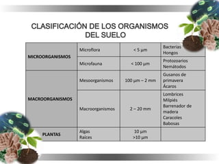 MICROORGANISMOS
Microflora < 5 μm
Bacterias
Hongos
Microfauna < 100 μm
Protozoarios
Nemátodos
MACROORGANISMOS
Mesoorganismos 100 μm – 2 mm
Gusanos de
primavera
Ácaros
Macroorganismos 2 – 20 mm
Lombrices
Milpiés
Barrenador de
madera
Caracoles
Babosas
PLANTAS
Algas
Raíces
10 μm
>10 μm
 