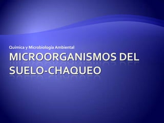 Química y Microbiología Ambiental
 