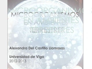 Alexandra Del Castillo Llamosas
Universidad de Vigo
2012-2013
 