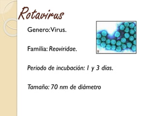 Rotavirus
Genero:Virus.
Familia: Reoviridae.
Periodo de incubación: 1 y 3 días.
Tamaño: 70 nm de diámetro
 