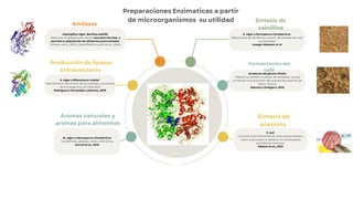 Microorganismos en la industria de alimentos grupo 1.pdf