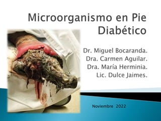Dr. Miguel Bocaranda.
Dra. Carmen Aguilar.
Dra. María Herminia.
Lic. Dulce Jaimes.
Noviembre 2022
 