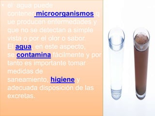 • el agua puede
contener microorganismos q
ue producen enfermedades y
que no se detectan a simple
vista o por el olor o sabor.
El agua, en este aspecto,
se contamina fácilmente y por
tanto es importante tomar
medidas de
saneamiento, higiene y
adecuada disposición de las
excretas.

 