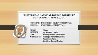 “UNIVERSIDAD NACIONAL TORIBIO RODRIGUEZ
DE MENDOZA’’ – SEDE BAGUA.
FACULTAD: INGENIERÍA CIVIL Y AMBIENTAL.
ESCUELA : INGENIERÍAAMBIENTAL.
CURSO : Obras.
PROFESOR : Ing. Modesto Loredo.
TEMA : Microorganismos Facultativos.
INTEGRANTES: -Verastegui Hernandez Claudia.
-Rojas Poma Rony.
-Montalván Coronel Cristian.
 