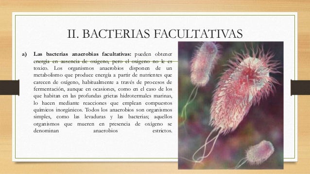 dieta cetogénica epilepsia mayores problemas
