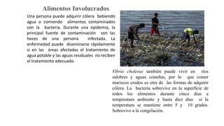 Microorganismos involucrados en toxiinfecciones de alimentos.pptx