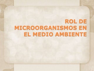 ROL DE
MICROORGANISMOS EN
EL MEDIO AMBIENTE
 
