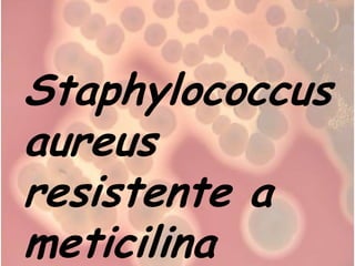 Staphylococcus
aureus
resistente a
meticilina
 