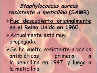 Staphylococcus aureus
resistente a meticilina (SAMR)
Fue descubierto originalmente
 en el Reino Unido en 1960.
Actualmente está muy
 propagado.
Se ha vuelto resistente a varios
 antibióticos,     primero      a
 la penicilina en 1947, y luego a
 la meticilina.
 