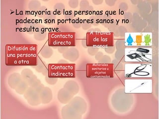 La mayoría de las personas que lo
 padecen son portadores sanos y no
 resulta grave.        A través
              Contacto
                           de las
               directo
Difusión de                manos
una persona
   a otra                  Materiales
              Contacto     sanitarios u
              indirecto      objetos
                          contaminados
 