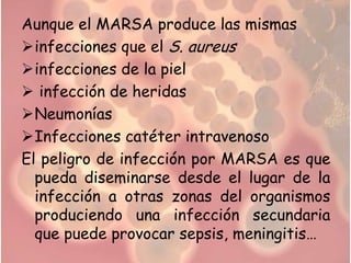 Aunque el MARSA produce las mismas
infecciones que el S. aureus
infecciones de la piel
 infección de heridas
Neumonías
Infecciones catéter intravenoso
El peligro de infección por MARSA es que
  pueda diseminarse desde el lugar de la
  infección a otras zonas del organismos
  produciendo una infección secundaria
  que puede provocar sepsis, meningitis…
 