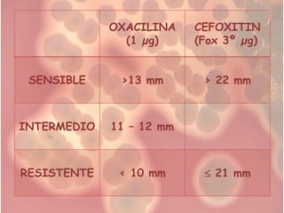 OXACILINA    CEFOXITIN
               (1 µg)     (Fox 3º µg)


 SENSIBLE     >13 mm       > 22 mm



INTERMEDIO   11 – 12 mm



RESISTENTE    < 10 mm        21 mm
 